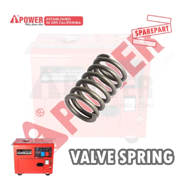 VALVE SPRING